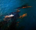 /album/photo-gallery-photogallery1/oilspill-from-above-jpg/